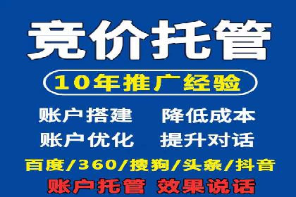 专业SEM服务公司案例分析报告